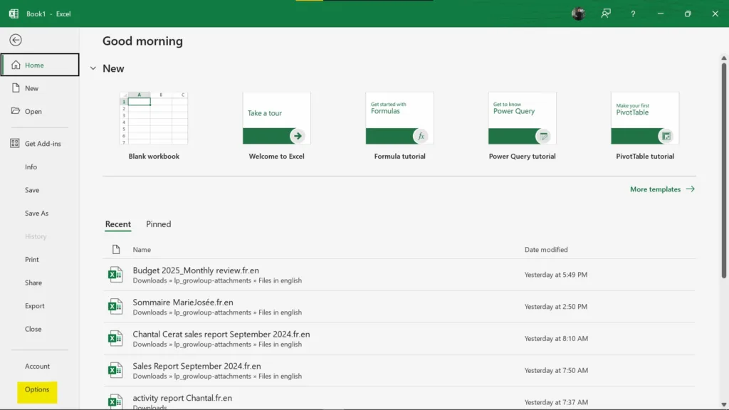 how to add data analysis in excel on windows step 2